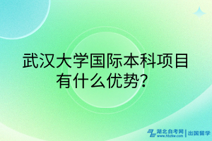 武汉大学国际本科项目有什么优势？