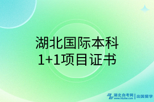 湖北国际本科1+1项目证书