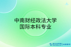 中南财经政法大学国际本科专业