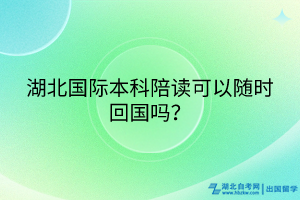 湖北国际本科陪读可以随时回国吗？