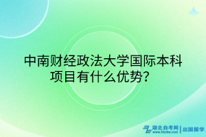 中南财经政法大学国际本科项目有什么优势？