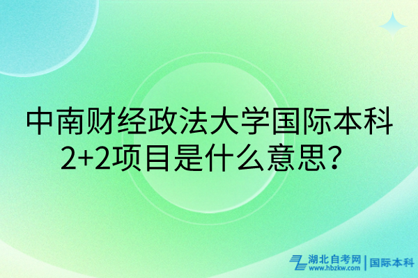 中南财经政法大学国际本科2+2项目是什么意思？