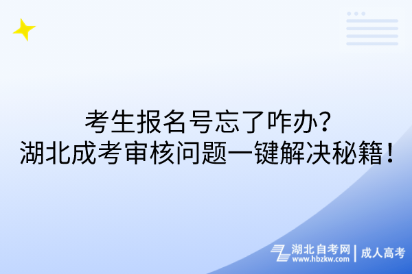 报名号忘了咋办？湖北成考审核问题一键解决秘籍！