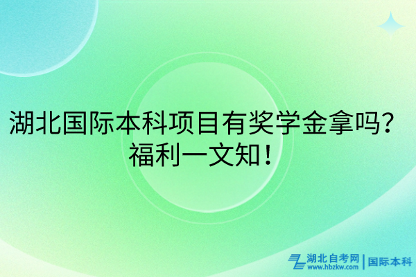 湖北国际本科项目有奖学金拿吗？福利大放送！