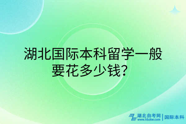 湖北国际本科留学一般要花多少钱？