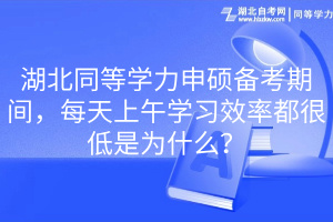 湖北同等学力申硕备考期间，每天上午学习效率都很低是为什么？