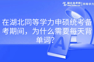 在湖北同等学力申硕统考备考期间，为什么需要每天背单词？