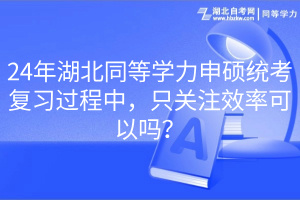 24年湖北同等学力申硕统考复习过程中，只关注效率可以吗？