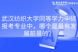 武汉纺织大学同等学力申硕报考专业中，哪个是最有发展前景的？