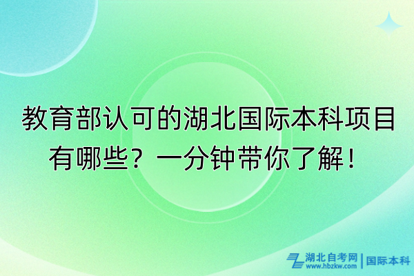 教育部认可的湖北国际本科项目有哪些？一分钟带你了解！