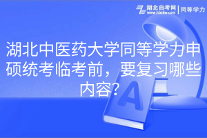 湖北中医药大学同等学力申硕统考临考前，要复习哪些内容？