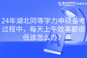 24年湖北同等学力申硕备考过程中，每天上午效率都很低该怎么办？