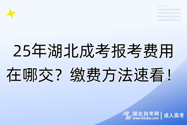 25年湖北成考报考费用在哪交？缴费方法速看！