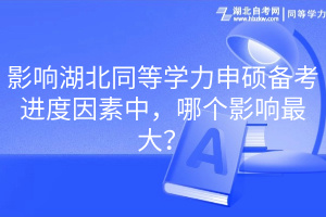 影响湖北同等学力申硕备考进度因素中，哪个影响最大？