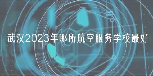 武汉2023年哪所航空服务学校最好