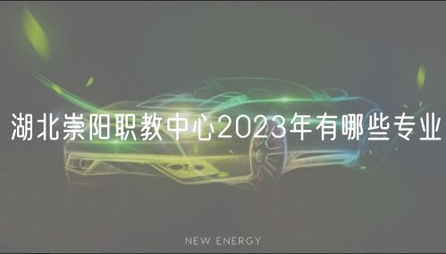 湖北崇阳职教中心2023年有哪些专业