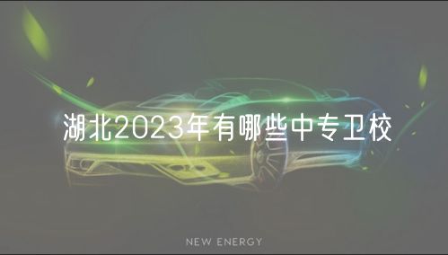 湖北2023年有哪些中专卫校