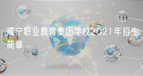 咸宁职业教育集团学校2021年招生简章