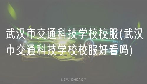 武汉市交通科技学校校服(武汉市交通科技学校校服好看吗)