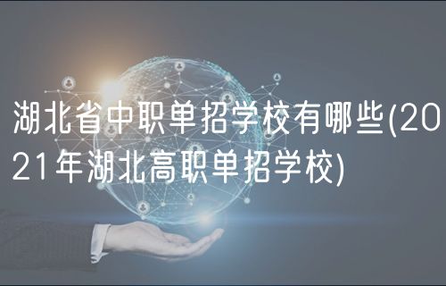 湖北省中职单招学校有哪些(2021年湖北高职单招学校)