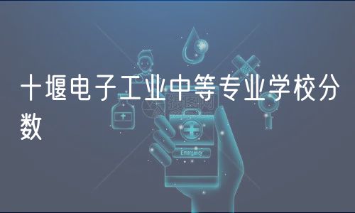 十堰电子工业中等专业学校分数