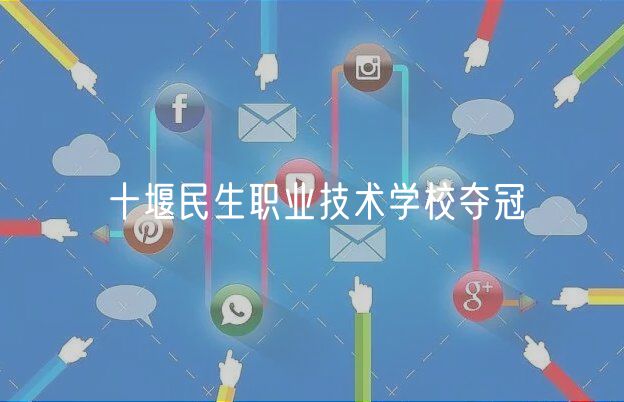 十堰民生职业技术学校夺冠