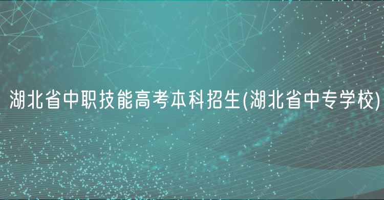 湖北省中职技能高考本科招生(湖北省中专学校)