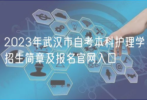 2023年武汉市自考本科护理学招生简章及报名官网入口