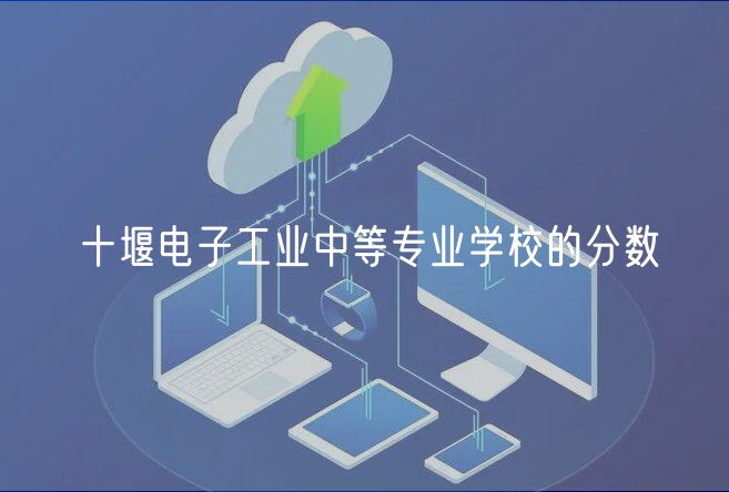 十堰电子工业中等专业学校的分数