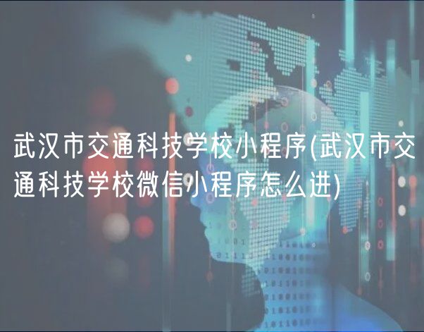 武汉市交通科技学校小程序(武汉市交通科技学校微信小程序怎么进)