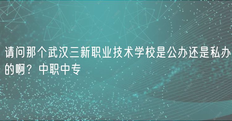 请问那个武汉三新职业技术学校是公办还是私办的啊？中职中专