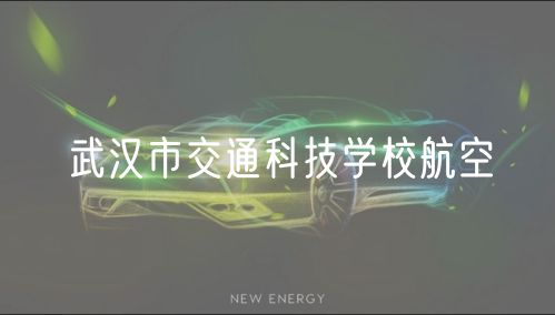 武汉市交通科技学校航空