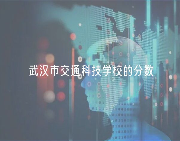 武汉市交通科技学校的分数