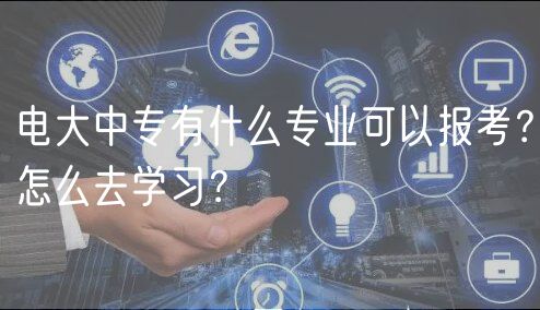 电大中专有什么专业可以报考？怎么去学习？