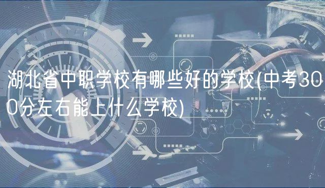 湖北省中职学校有哪些好的学校(中考300分左右能上什么学校)