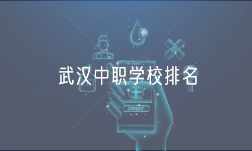 武汉中职学校排名