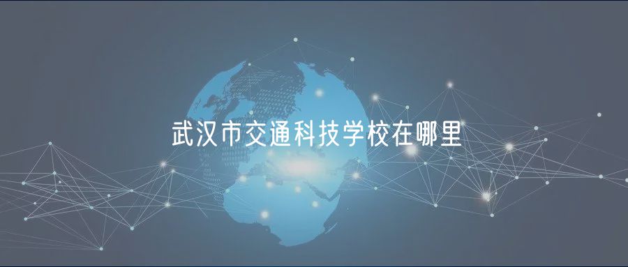 武汉市交通科技学校在哪里