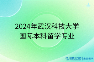 2024年武汉科技大学国际本科留学专业