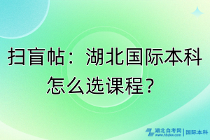 扫盲帖：湖北国际本科怎么选课程？