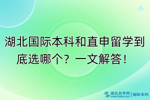 湖北国际本科和直申留学到底选哪个？一文解答！