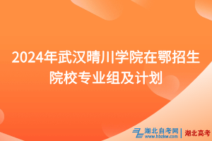 2024年武汉晴川学院在鄂招生院校专业组及计划