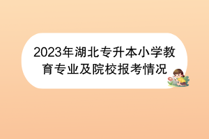 2023年湖北专升本小学教育专业及院校报考情况