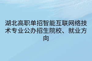 湖北高职单招智能互联网络技术专业公办招生院校、就业方向