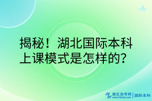 揭秘！湖北国际本科的上课模式是怎样的？