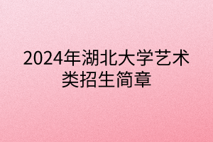 2024年湖北大学艺术类招生简章