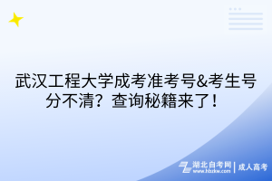 武汉工程大学成考准考号&考生号分不清？查询秘籍来了！