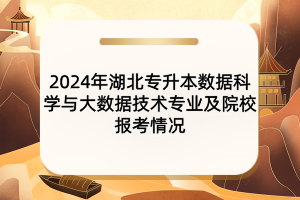 ​2024年湖北专升本数据科学与大数据技术专业及院校报考情况