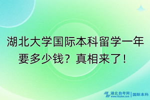 湖北大学国际本科留学一年要多少钱？真相来了！