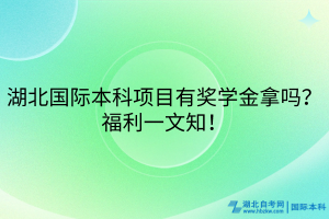 湖北国际本科项目有奖学金拿吗？福利一文知！