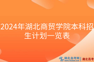 2024年湖北商贸学院本科招生计划一览表